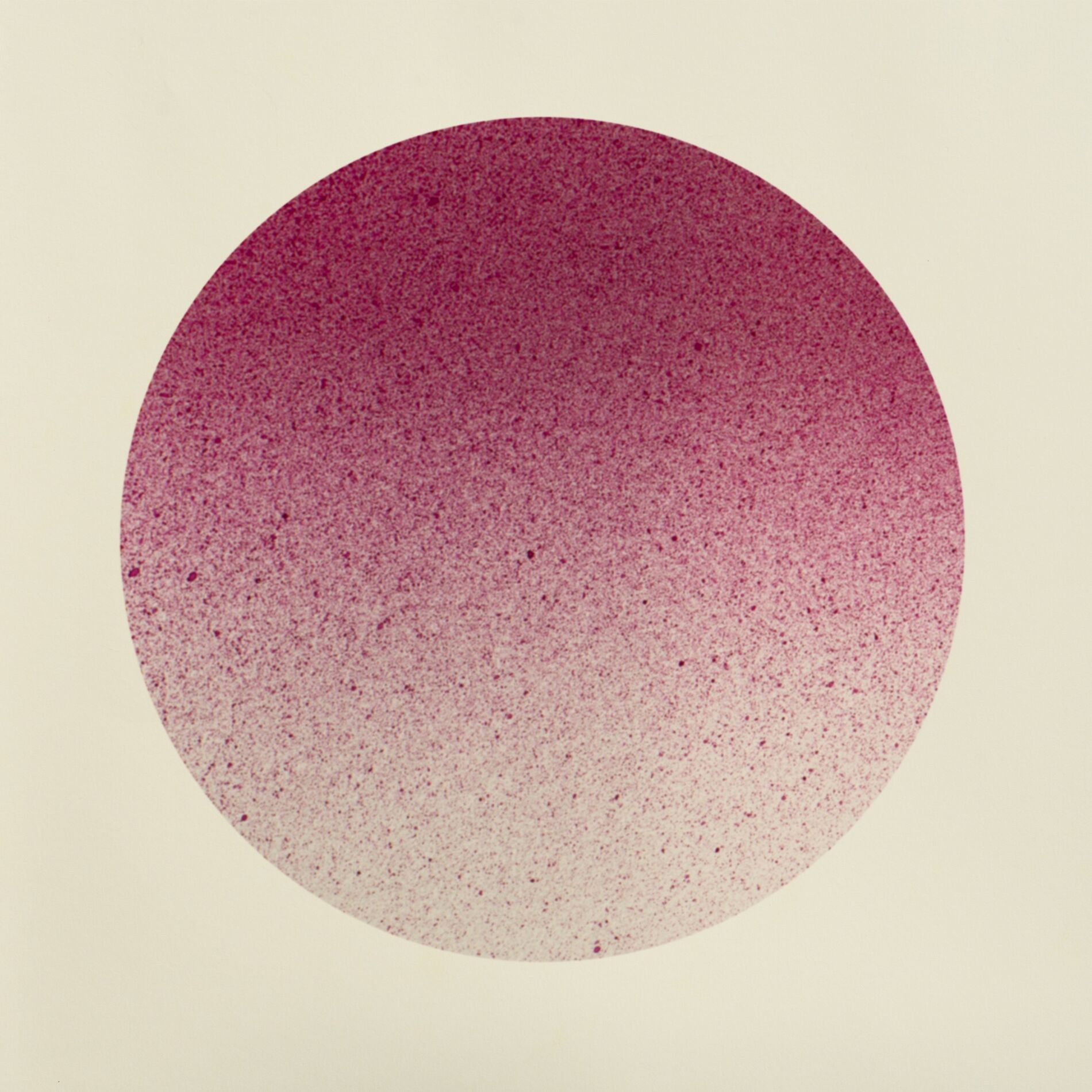 Album cover of Roman (Radio Edit)