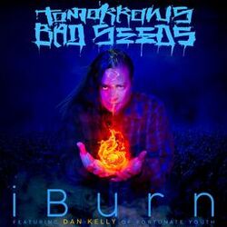 Cover of iBurn (feat. Dan Kelly of Fortunate Youth)