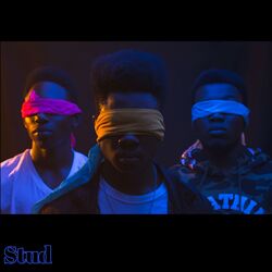 Cover of Stud
