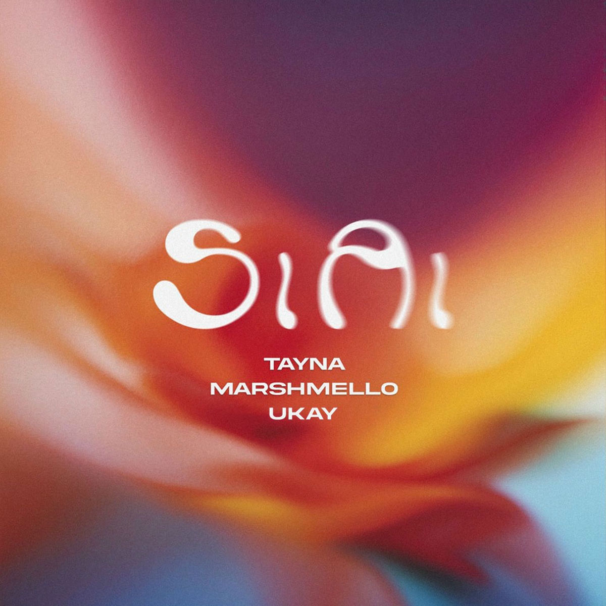 Album cover of Si Ai (Marshmello & Ukay Remix)