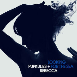 Cover of Looking for the Sea