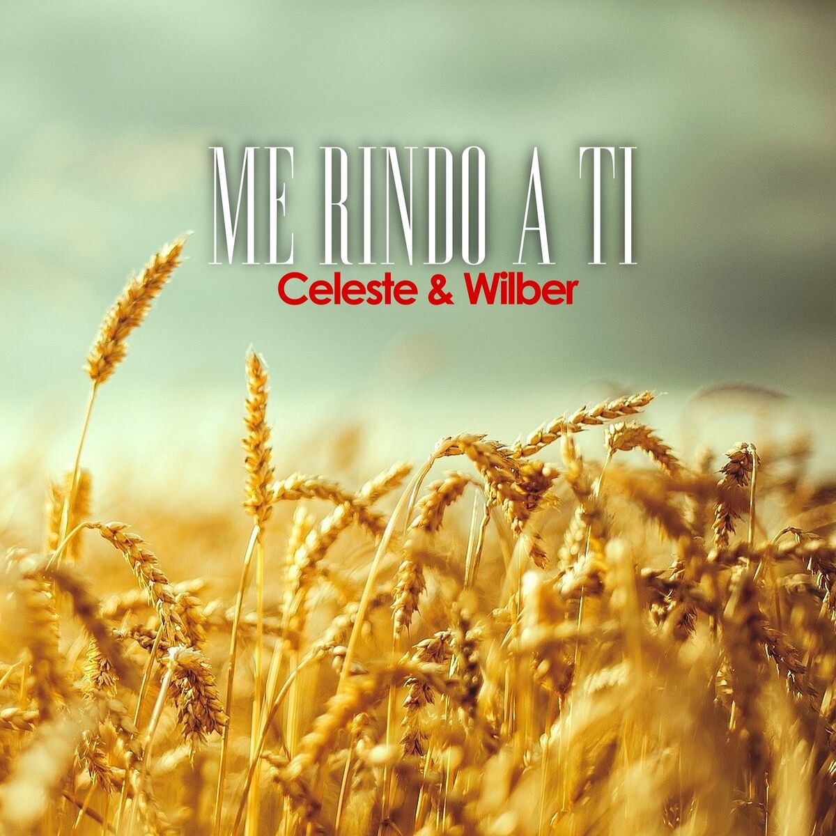 Album cover of Me Rindo a Ti
