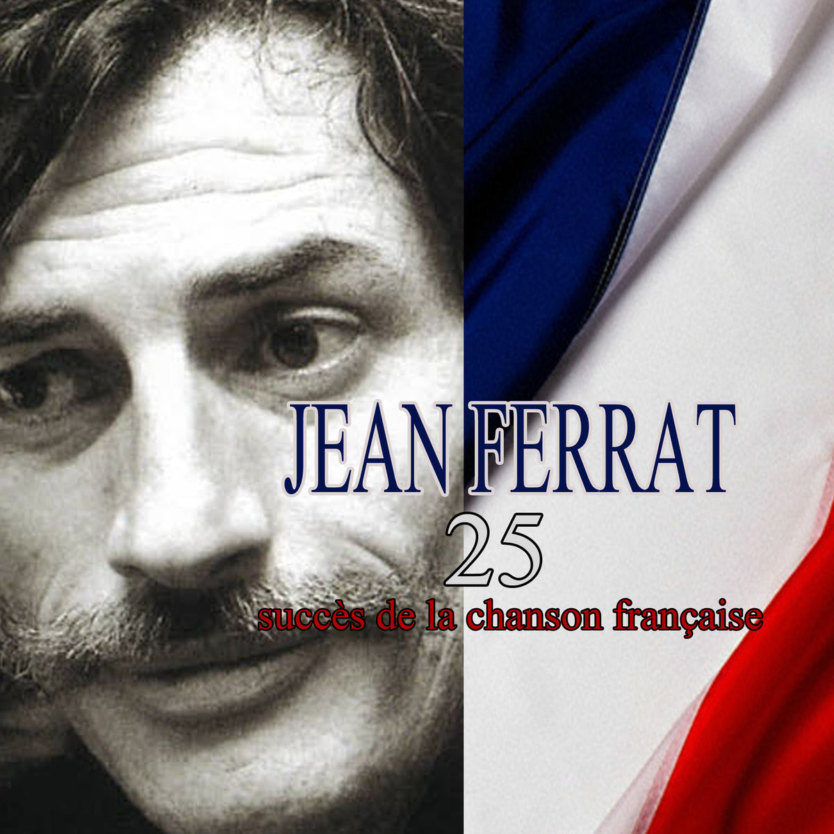 Album cover of 25 succès de la chanson française