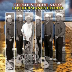 Cover of Conjunto De Arpa