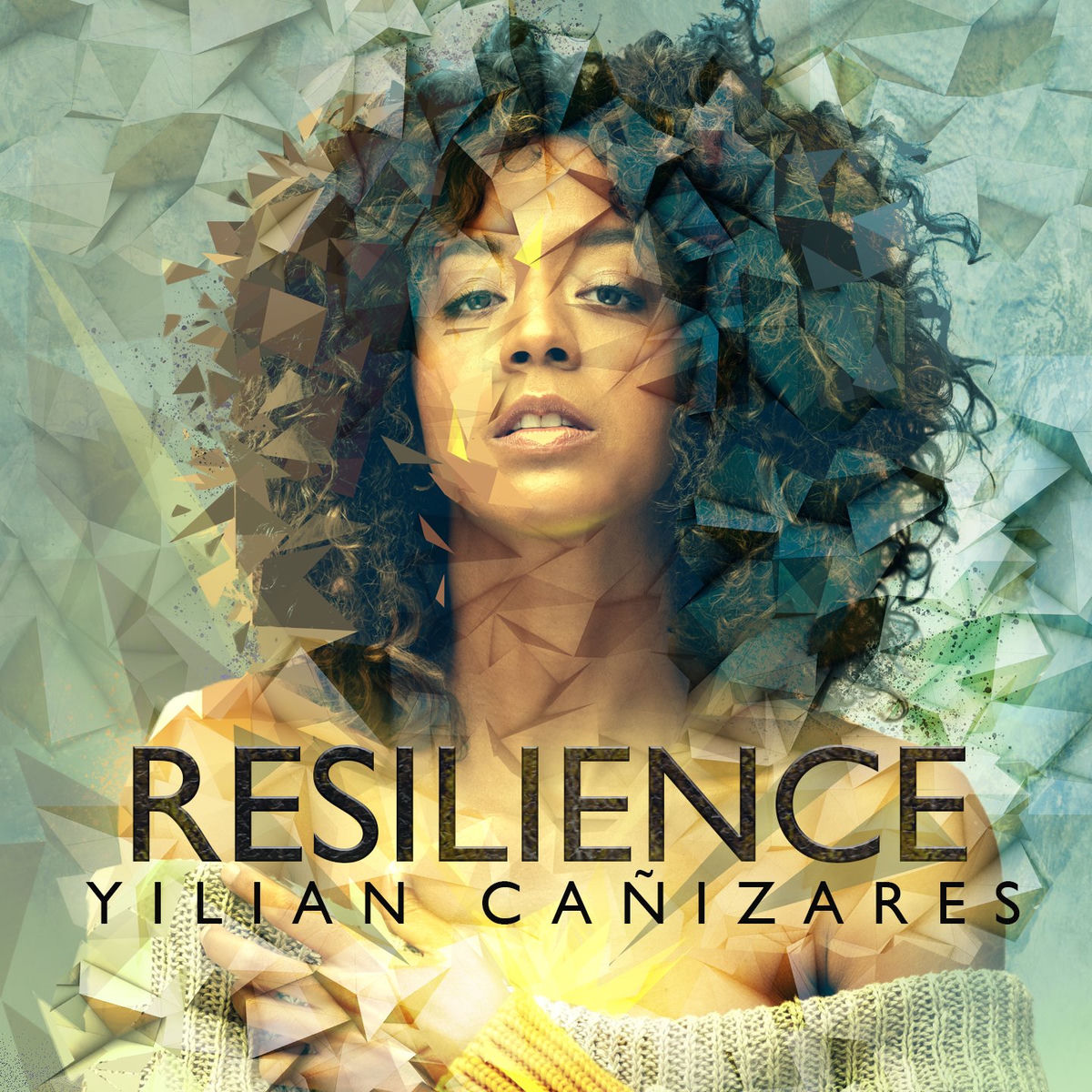 Album cover of Resilience