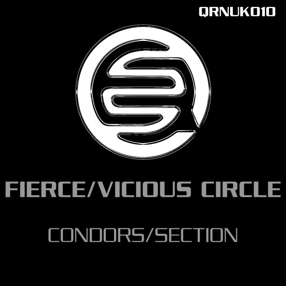 Picture of Condors / Section