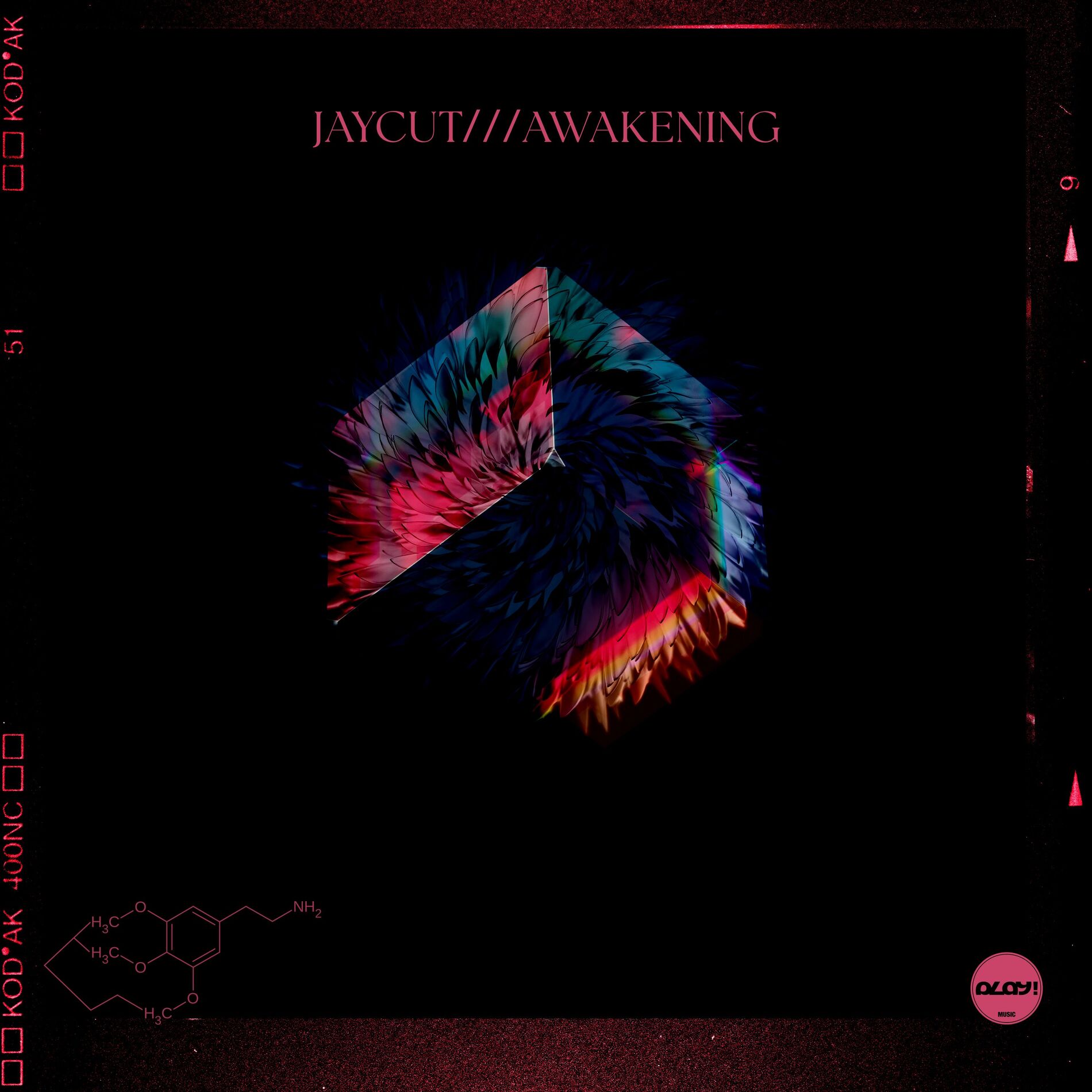 Album cover of Awakening