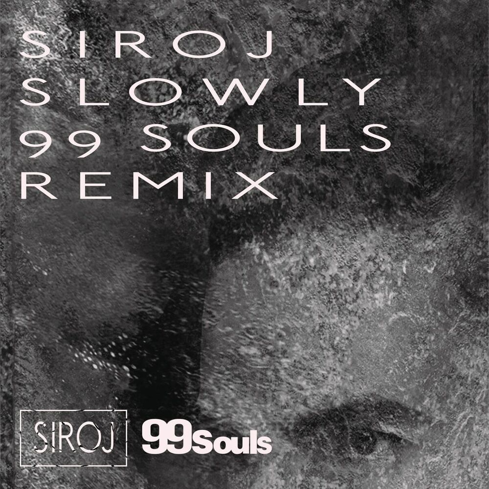 Picture of Slowly (feat. Ayden) (99 Souls Remix Radio Edit)