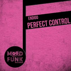 Cover of Perfect Control