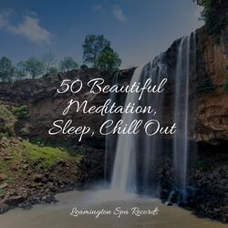 Cover of 50 Beautiful Meditation, Sleep, Chill Out
