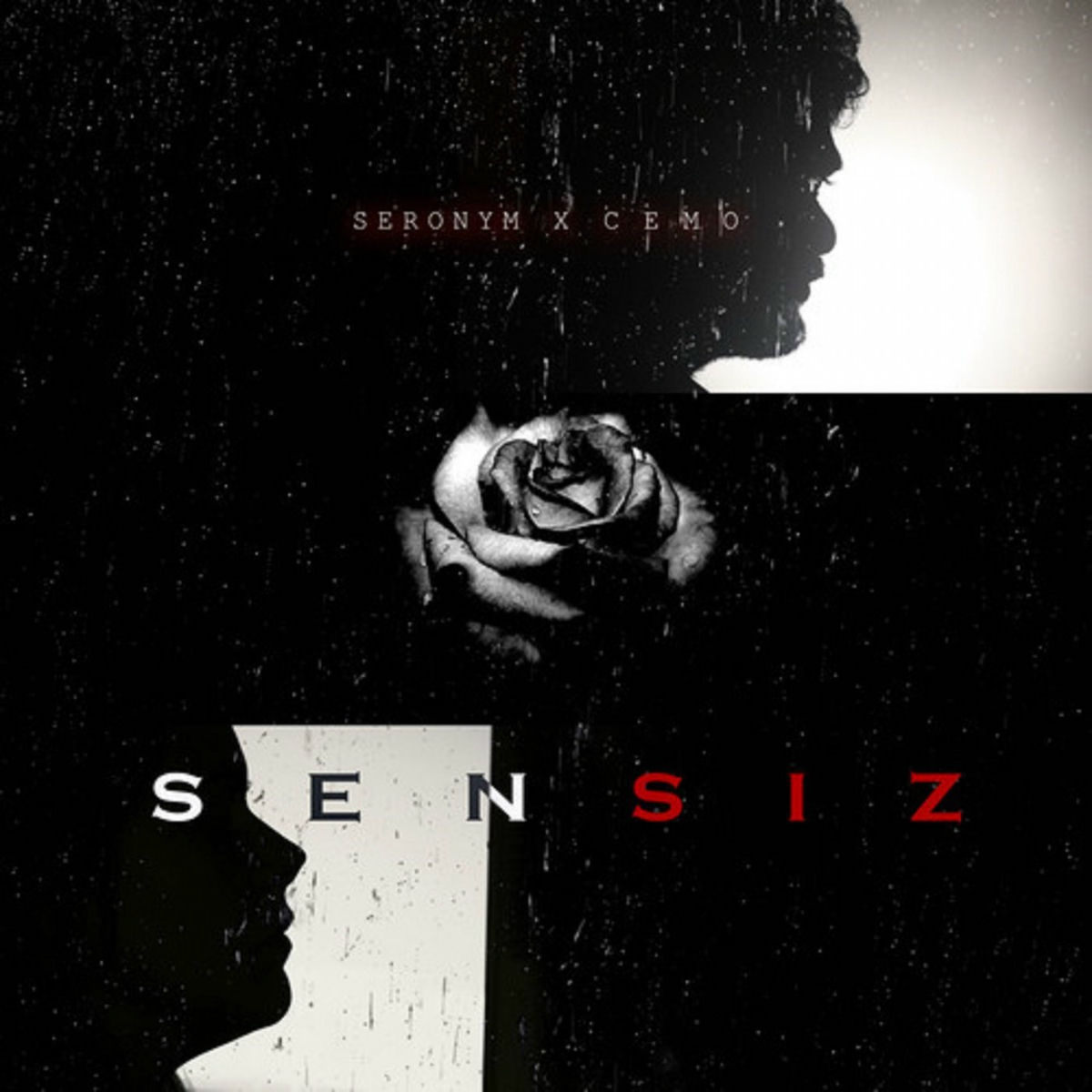 Album cover of Sensiz
