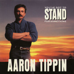 Cover of You've Got to Stand for Something