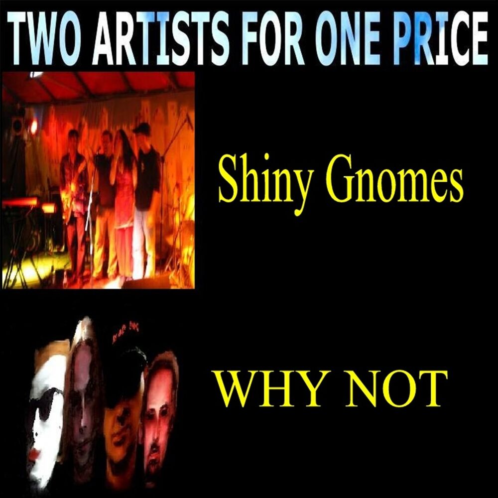 Picture of Two Artists for One Price: Shiny Gnomes & Why Not