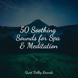 Cover of 50 Soothing Sounds for Spa & Meditation