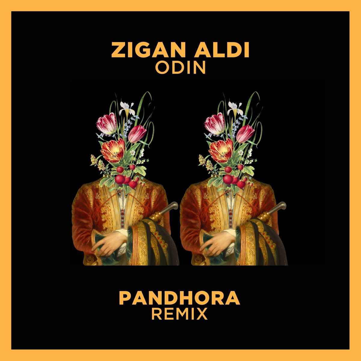 Album cover of Odin (Pandhora Remix)