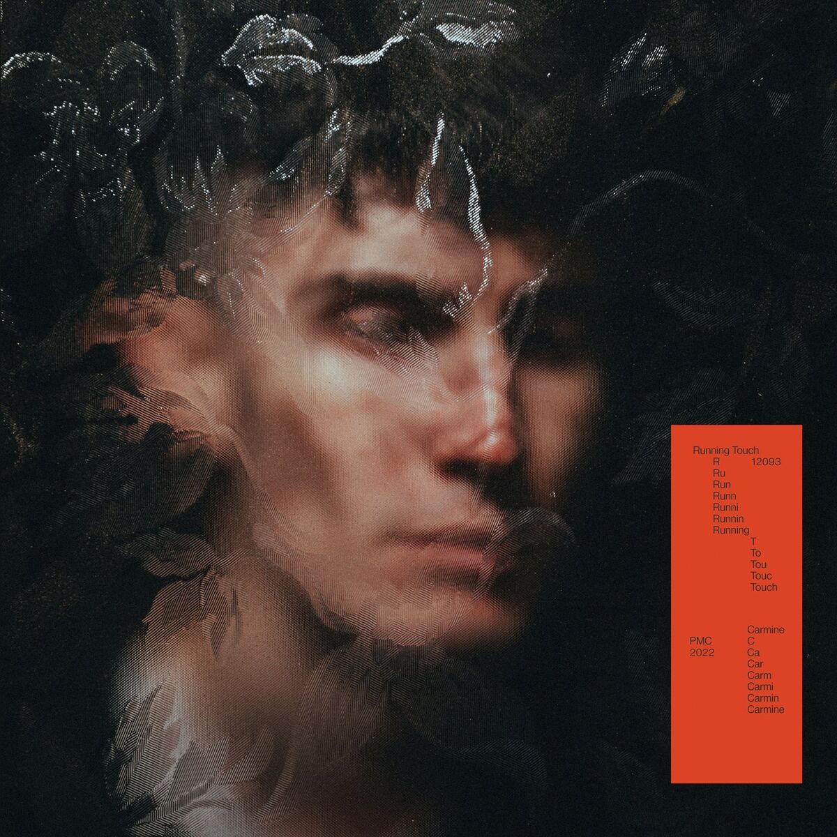 Album cover of Carmine