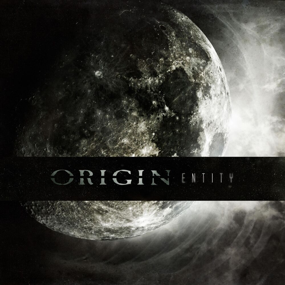 Picture of Entity