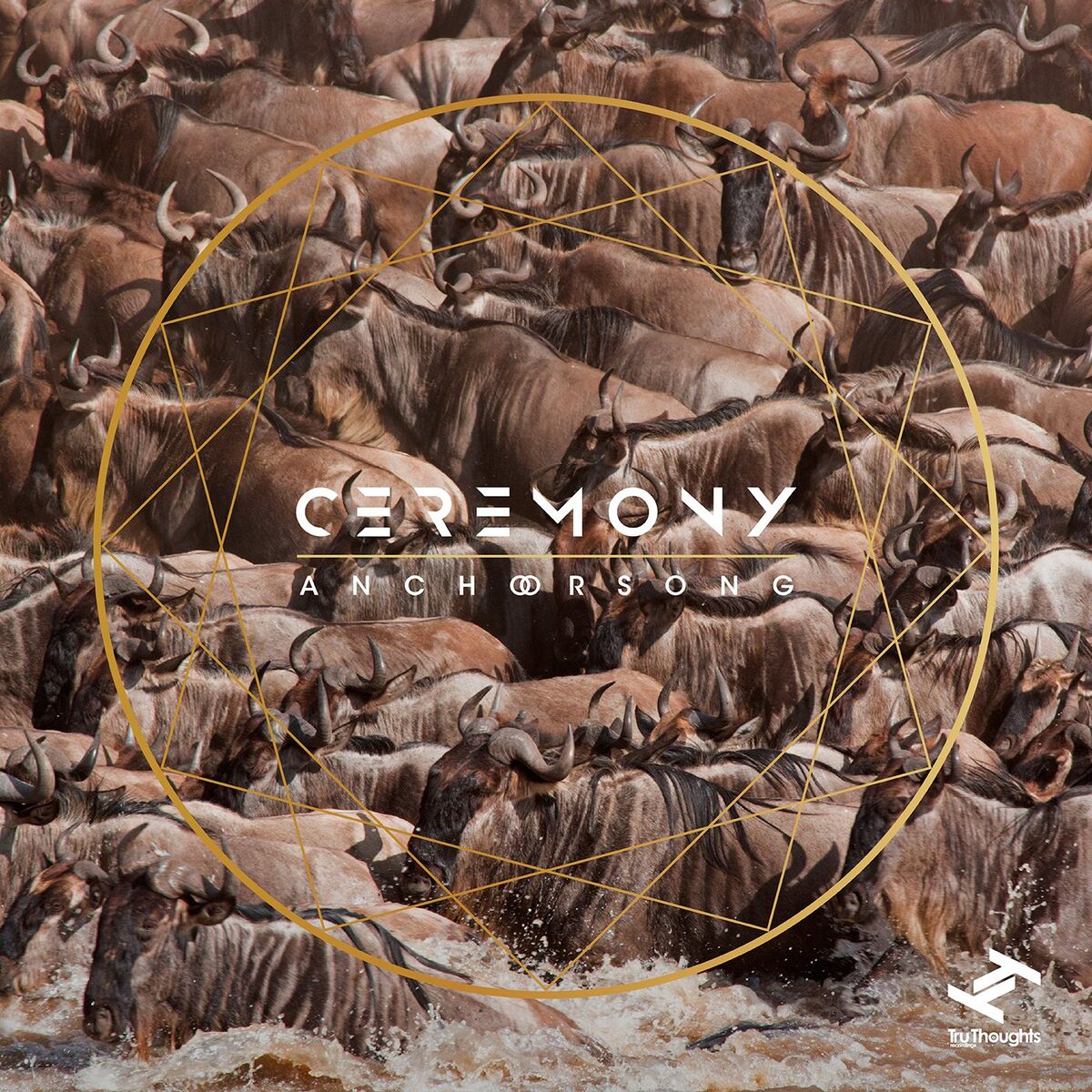 Album cover of Ceremony