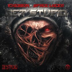 Cover of Get Stupid