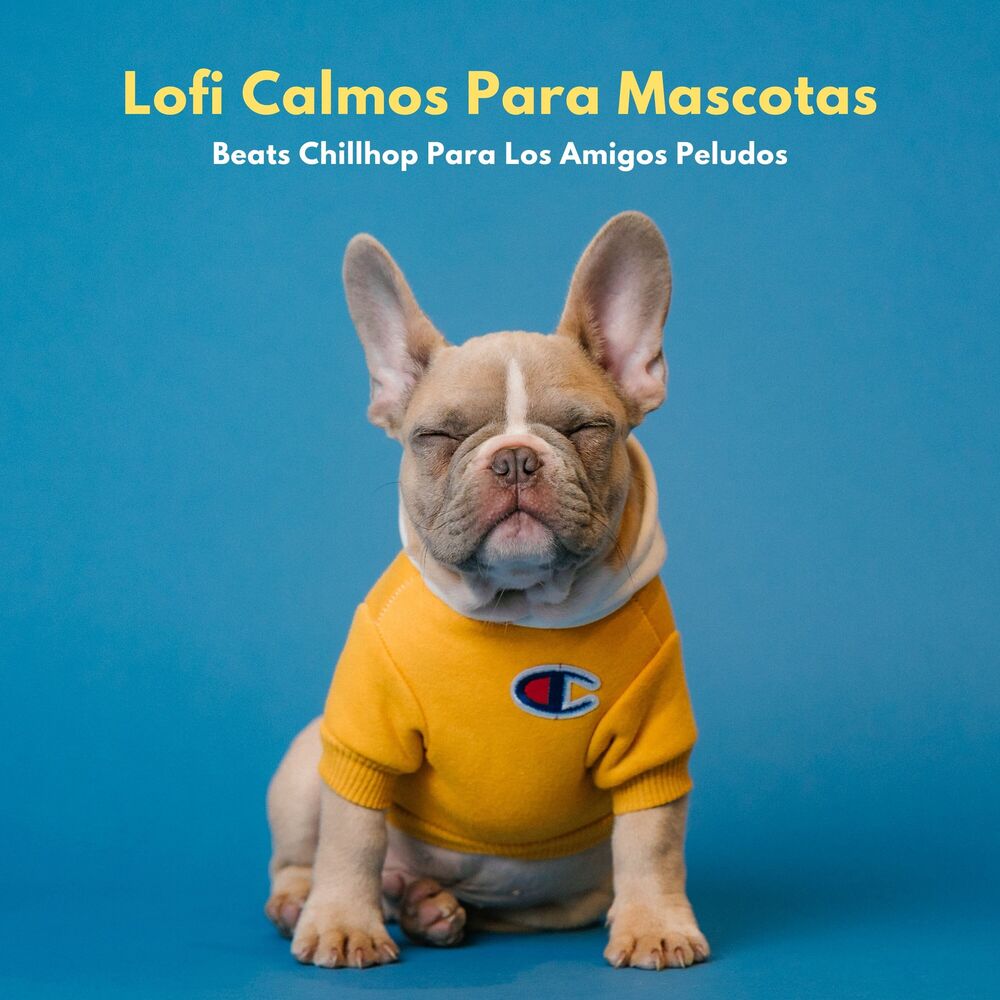 Picture of Lofi Calmos Para Mascotas: Beats Chillhop Para Los Amigos Peludos