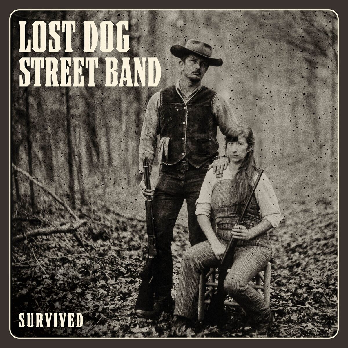 Album cover of Survived