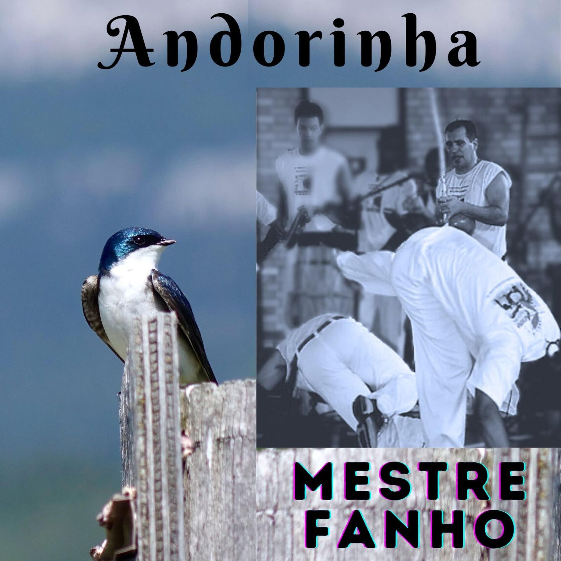 Album cover of ANDORINHA