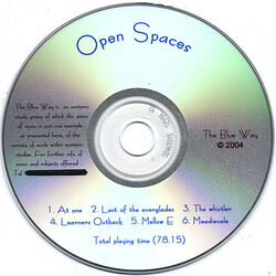 Cover of Open Spaces