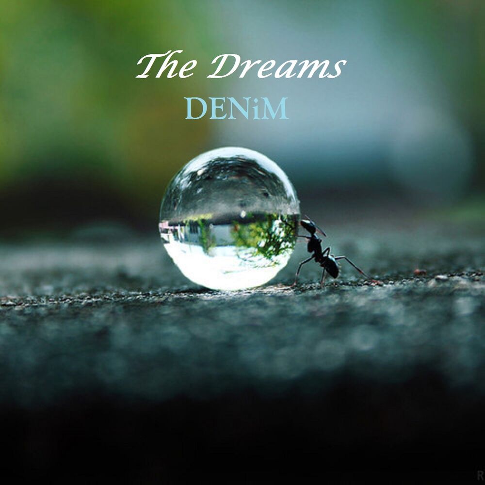 Picture of The Dreams