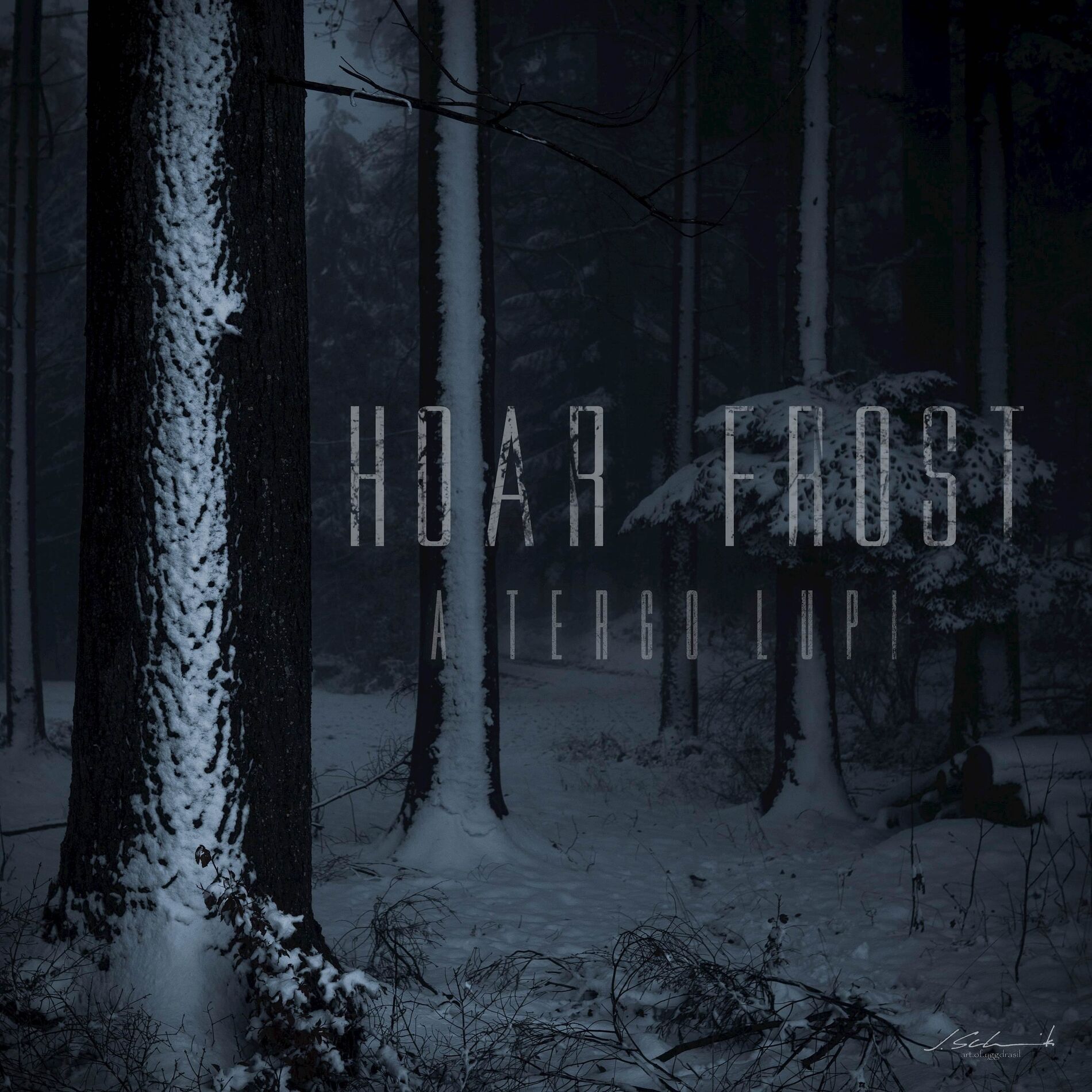 Album cover of Hoar Frost