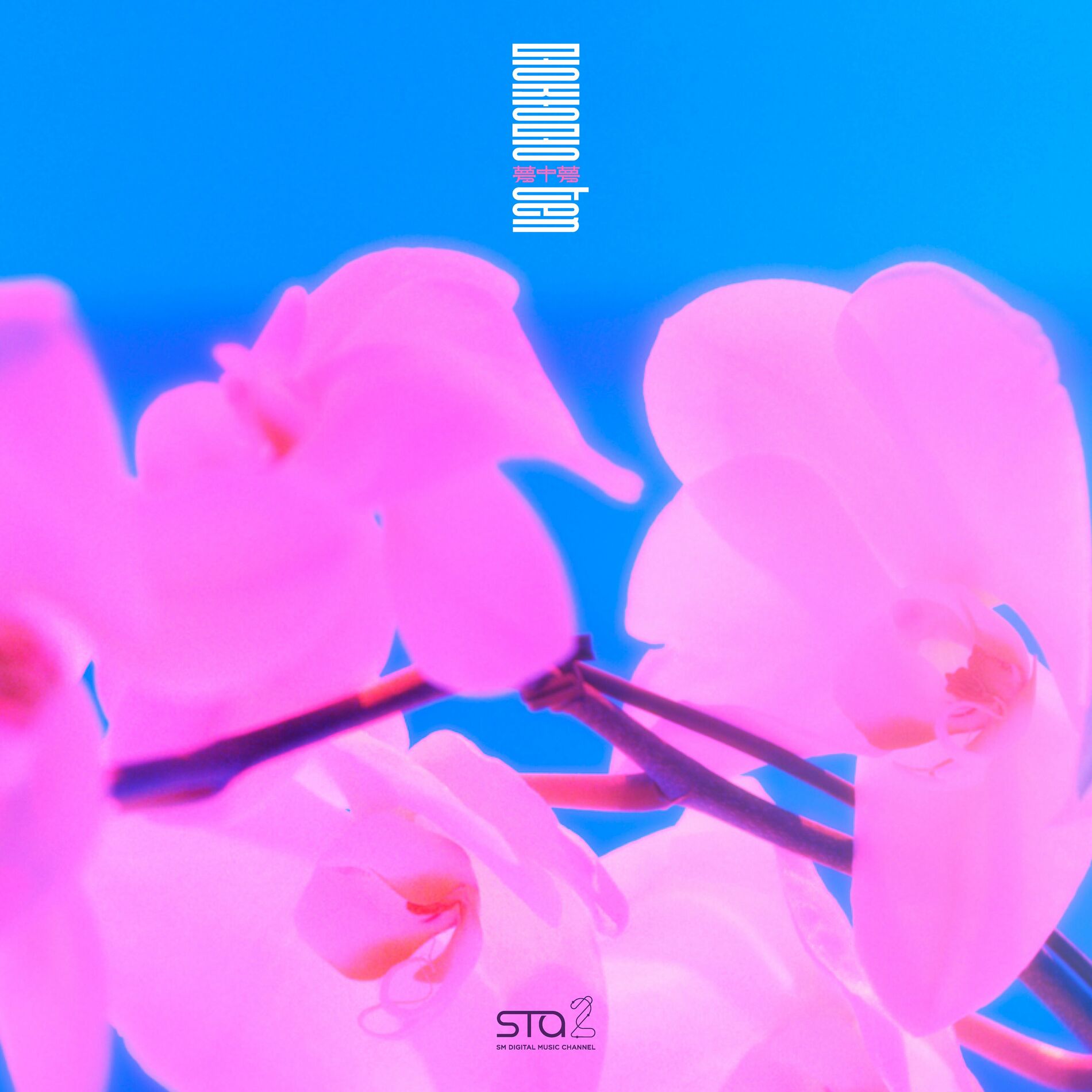 Album cover of 몽중몽; Dream In A Dream