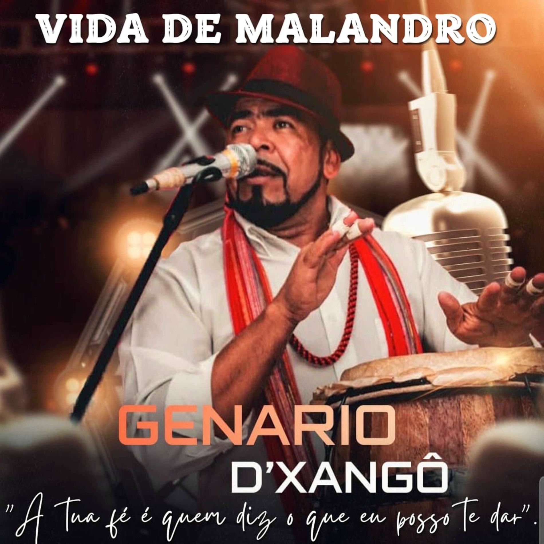 Album cover of Vida de Malandro 