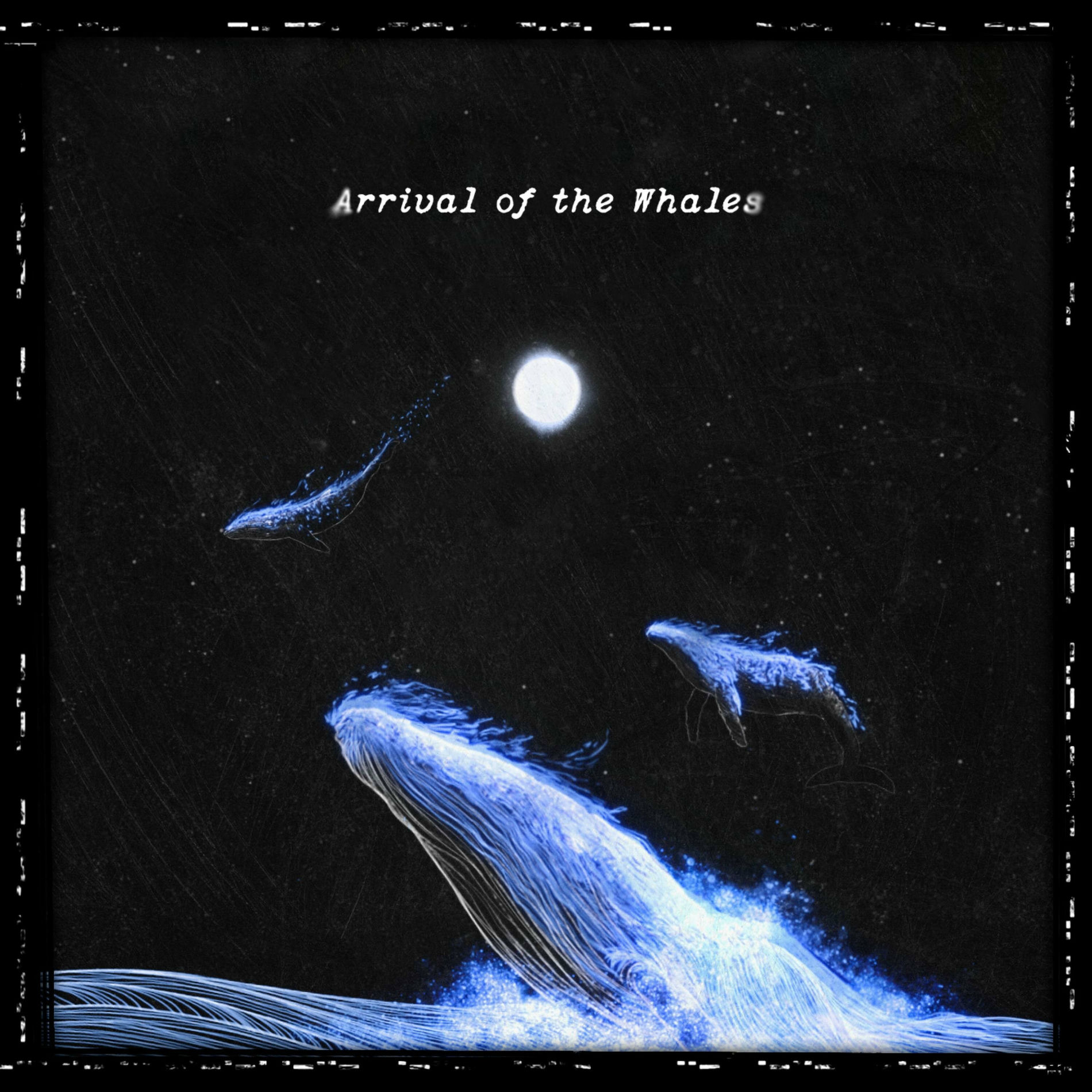 Album cover of Arrival of the Whales
