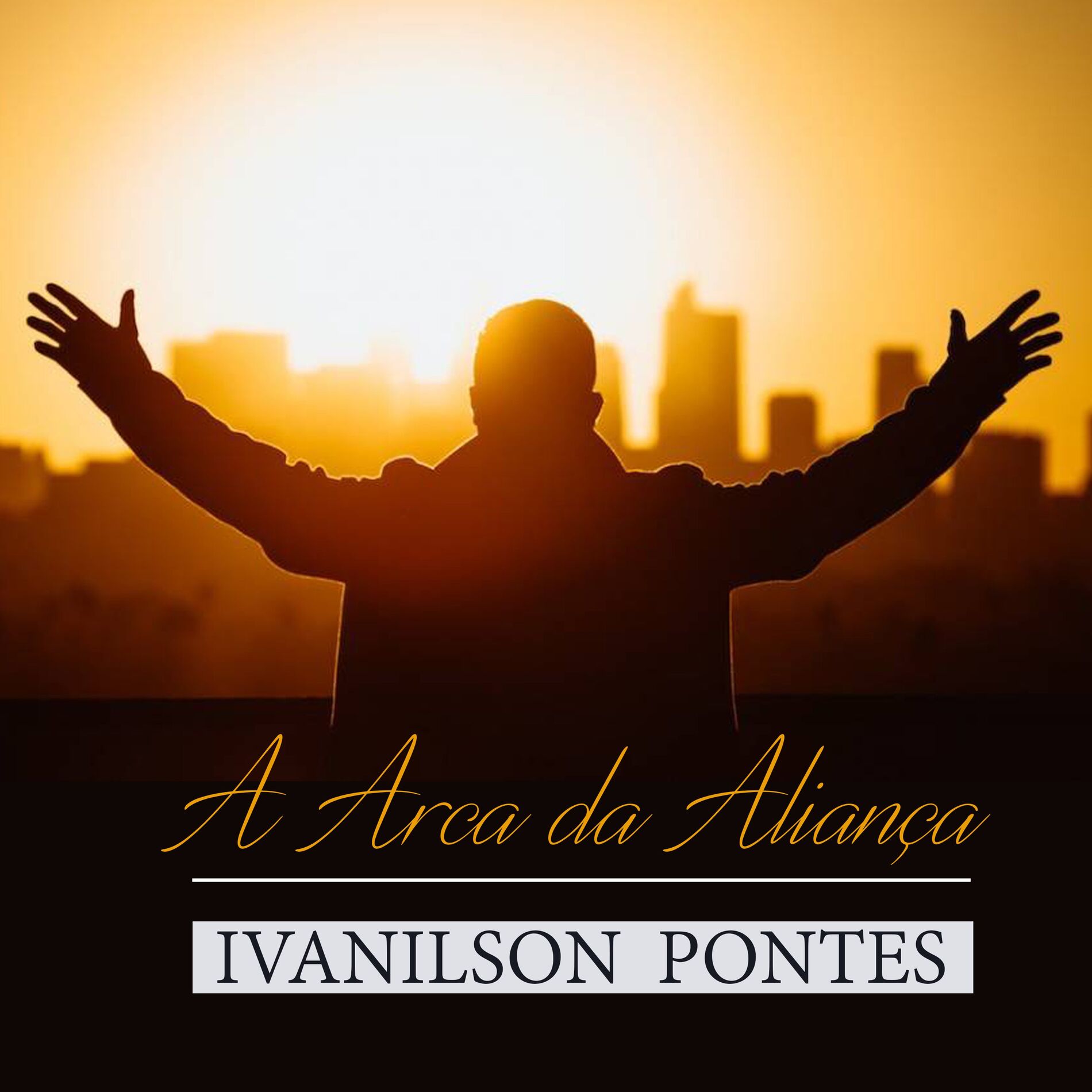 Album cover of A Arca da Aliança