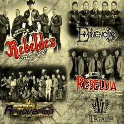Cover of En Vivo, Vol. 1