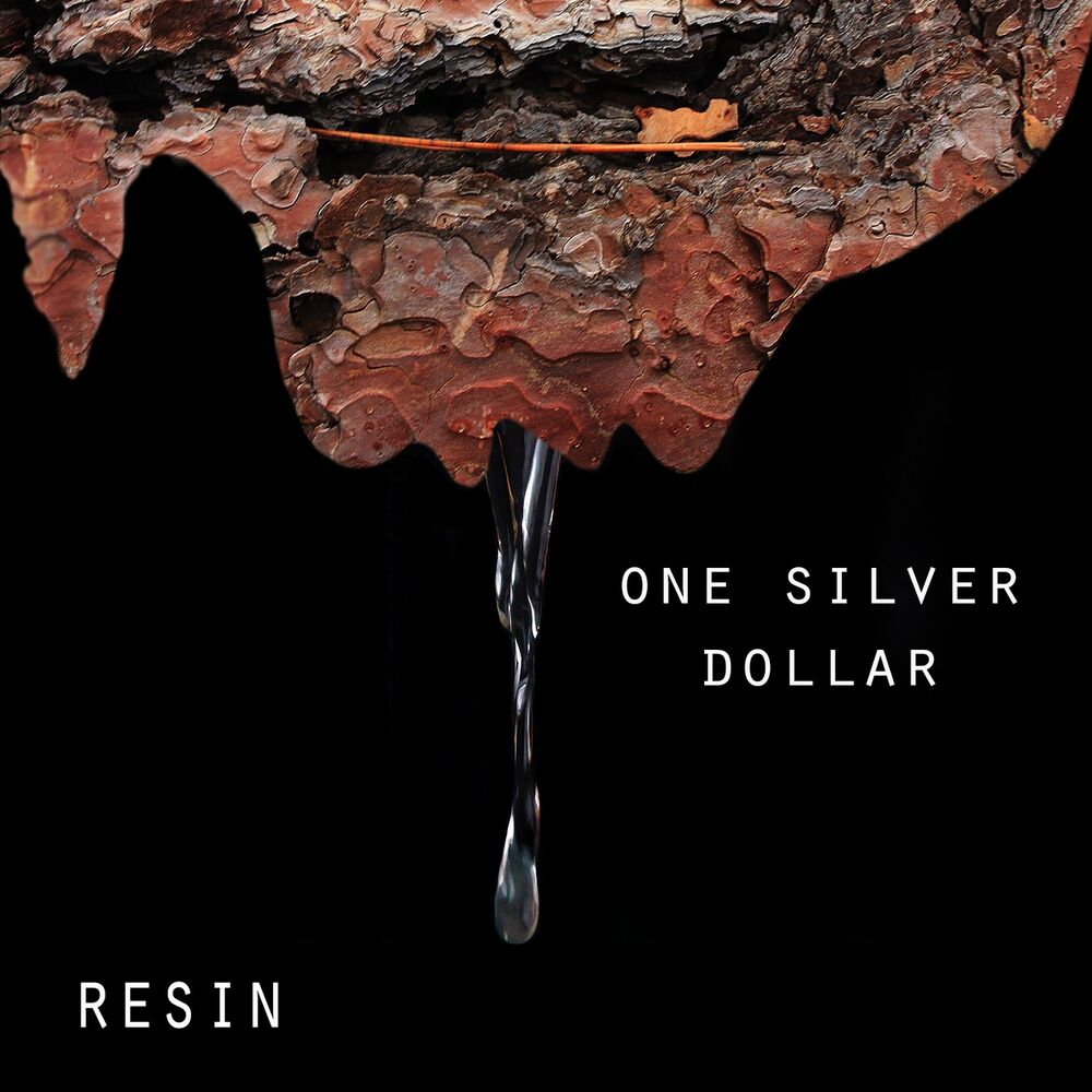 Picture of One Silver Dollar