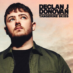 Cover of Tangerine Skies