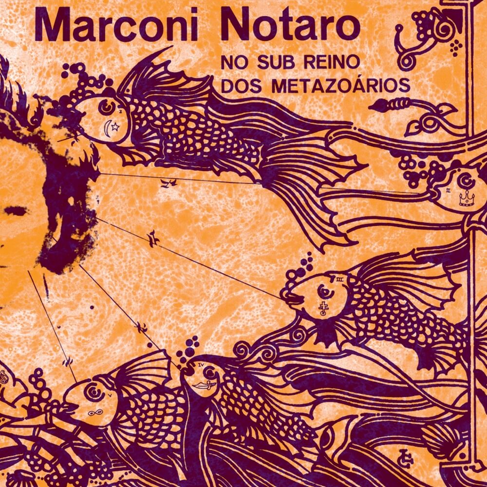 Picture of No Sub Reino dos Metazoarios