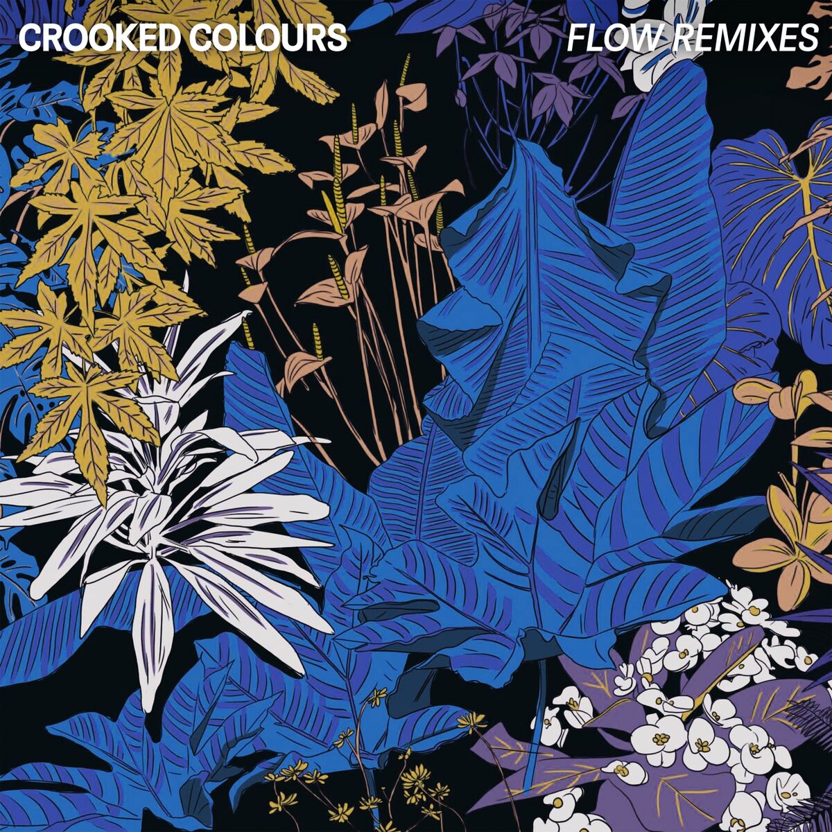 Album cover of Flow