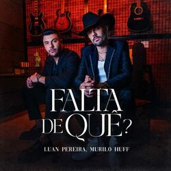 Cover of FALTA DE QUÊ?