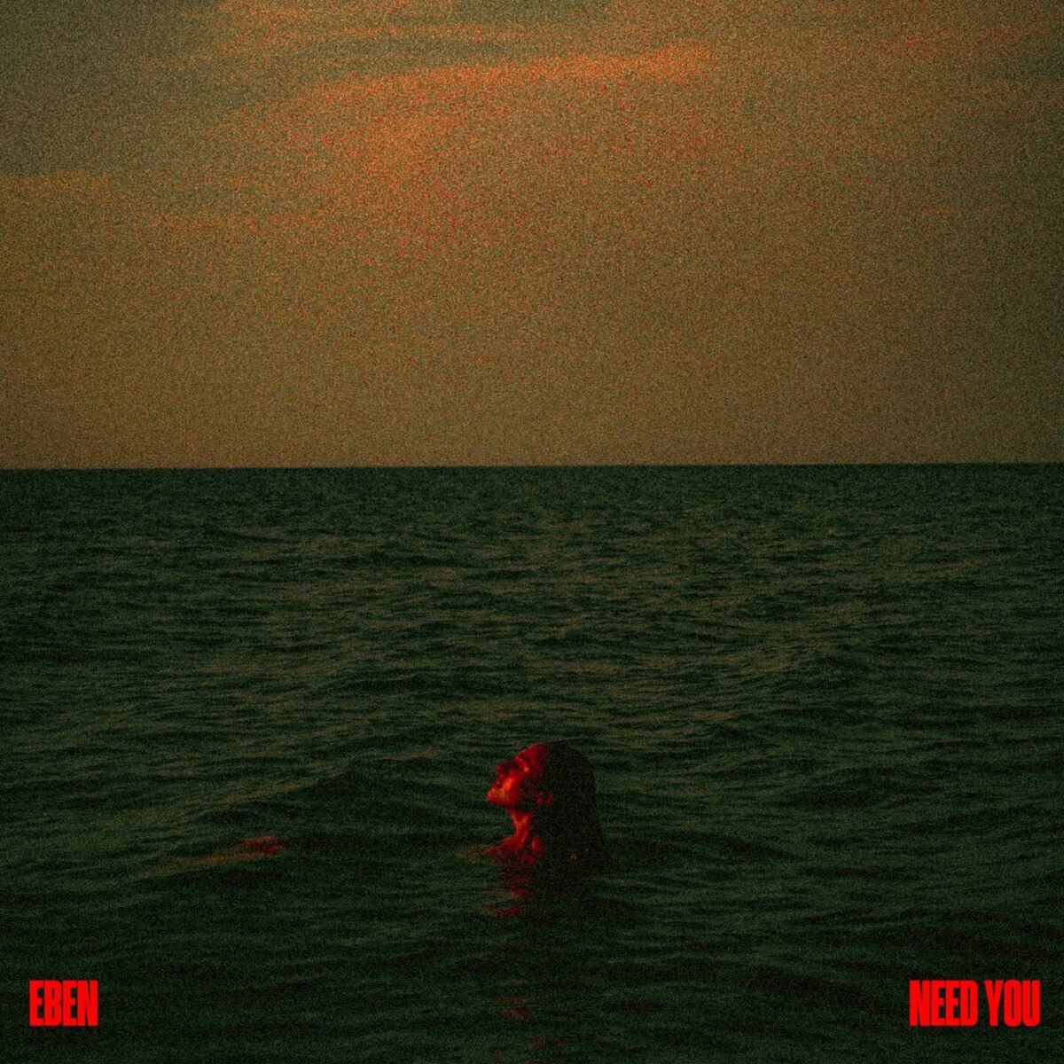 Album cover of Need you