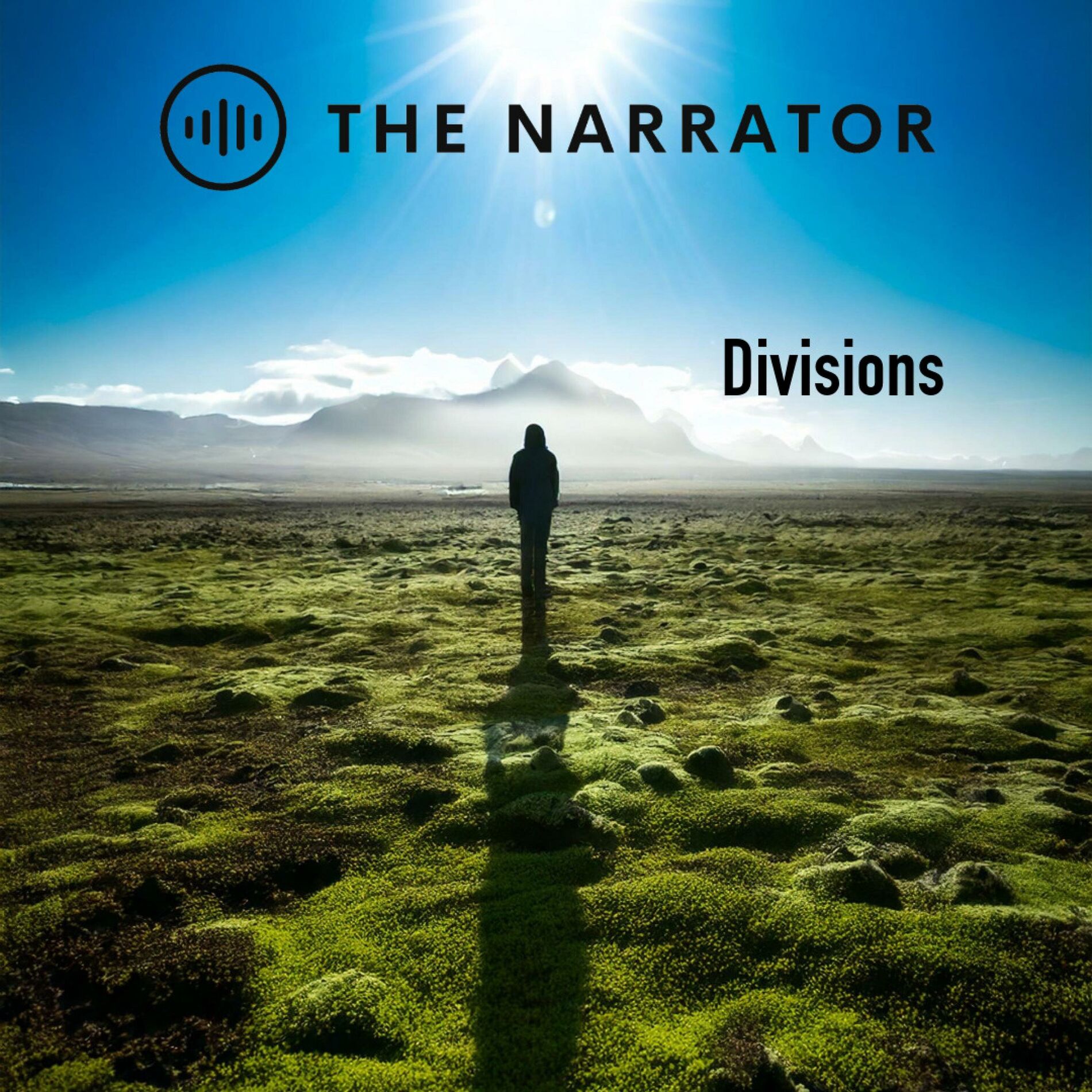 Album cover of Divisions