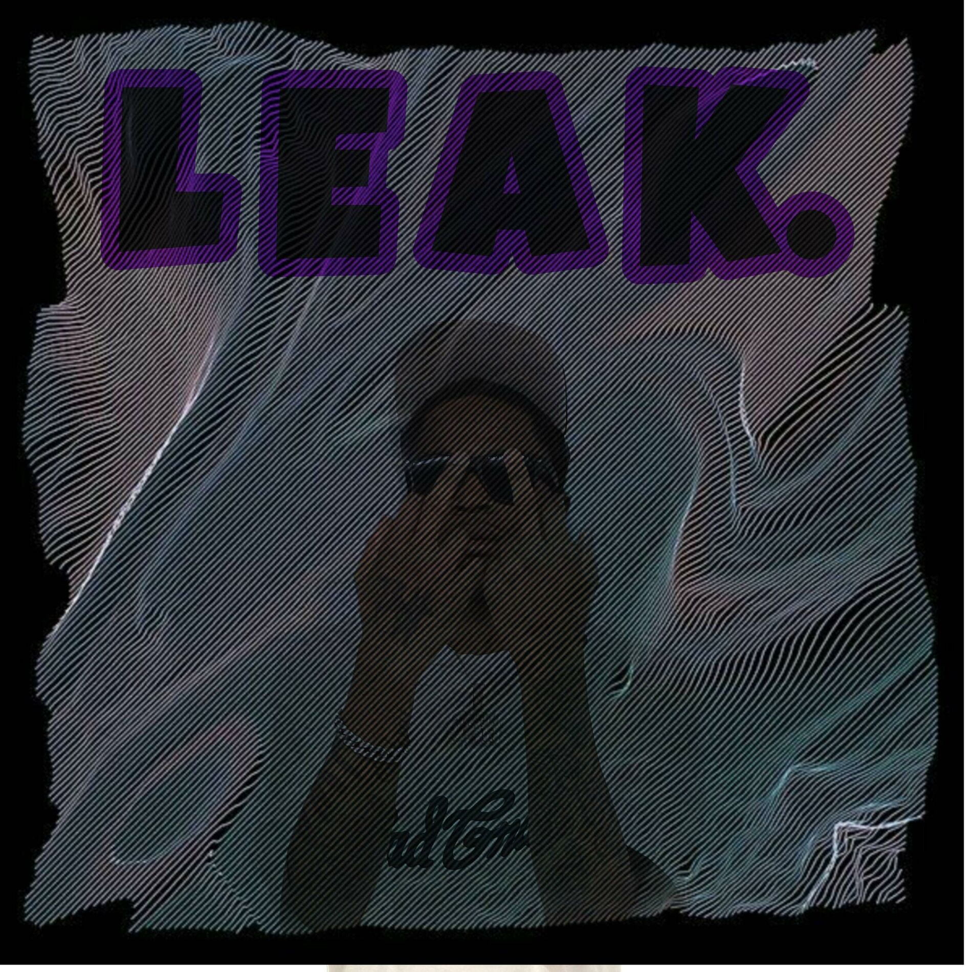 Album cover of LEAK Vol I