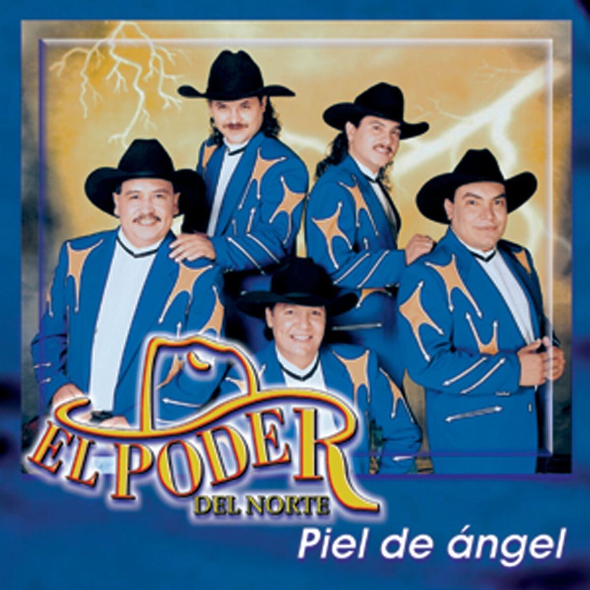 Album cover of Piel De Angel