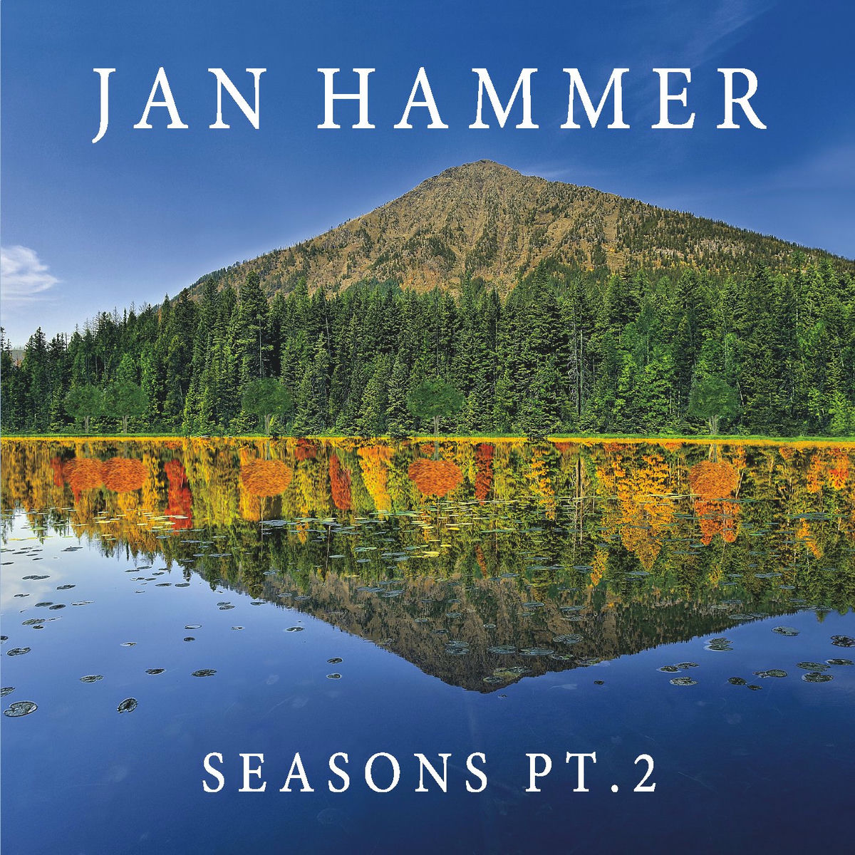 Album cover of Seasons Pt. 2