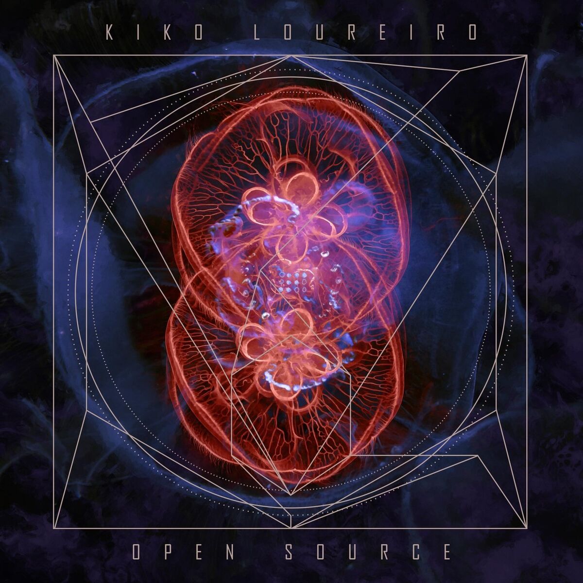 Album cover of Du Monde