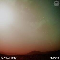 Cover of Endor