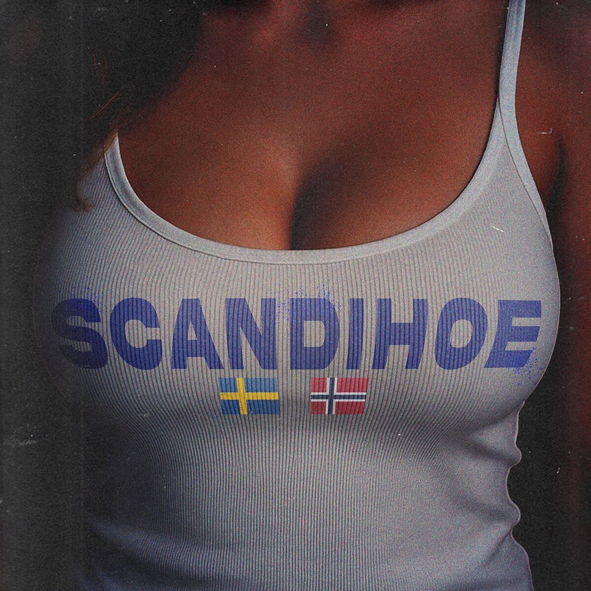 Album cover of SCANDIHOE (feat. Krobbe)