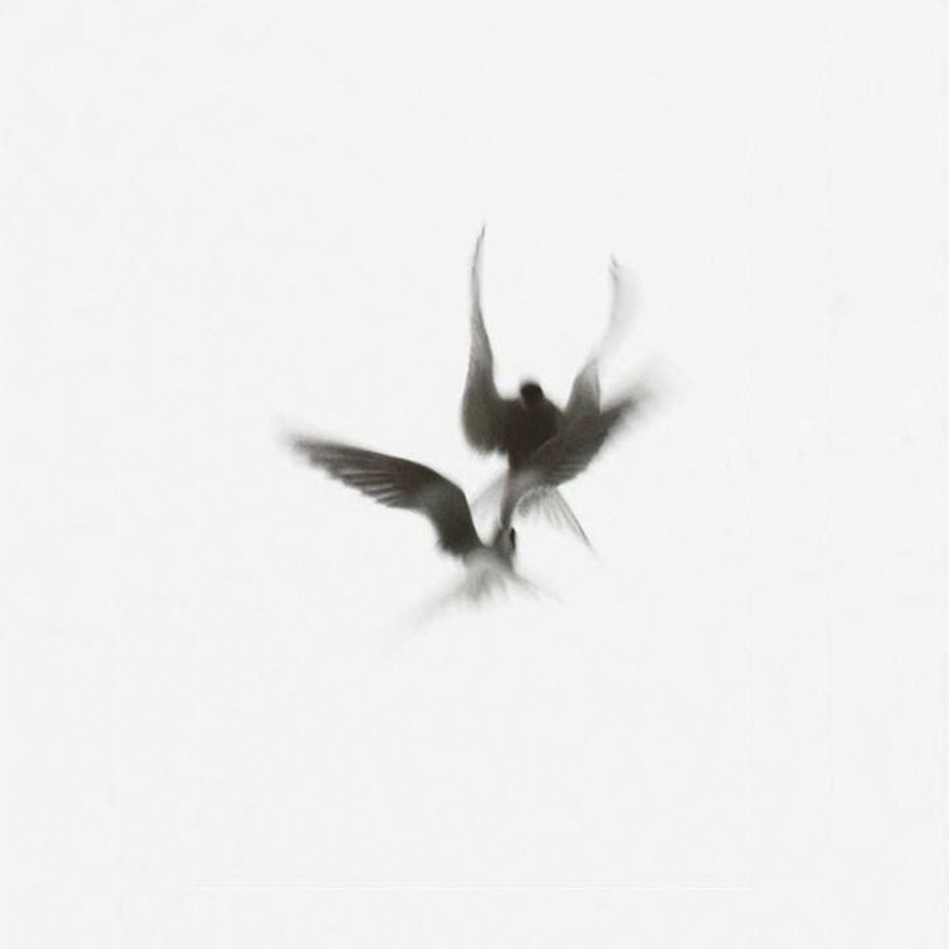 Album cover of Nature
