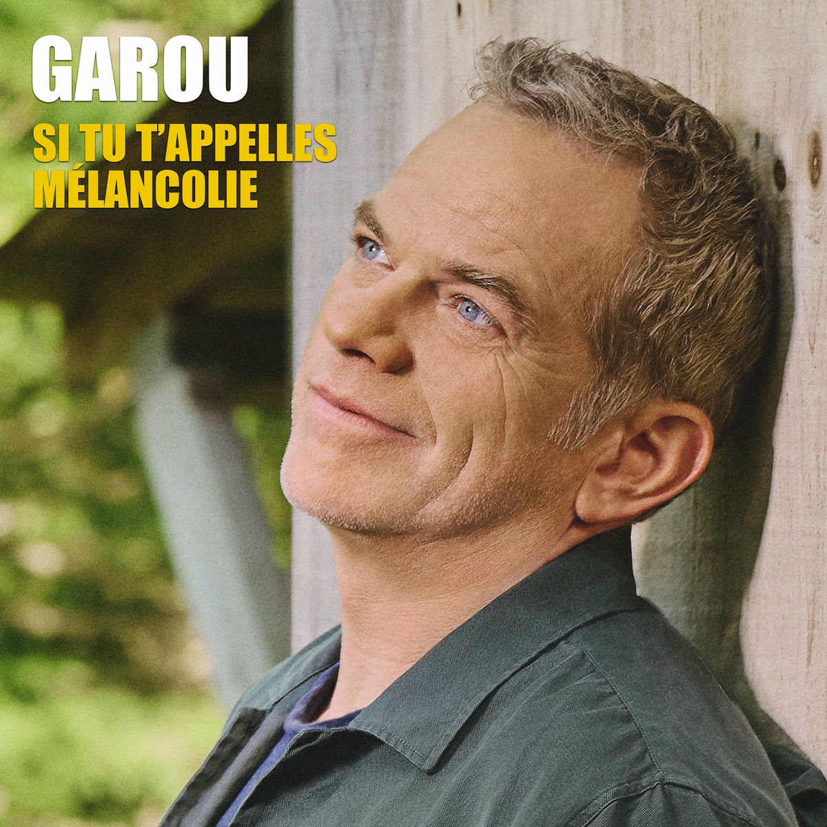 Album cover of Si tu t'appelles mélancolie