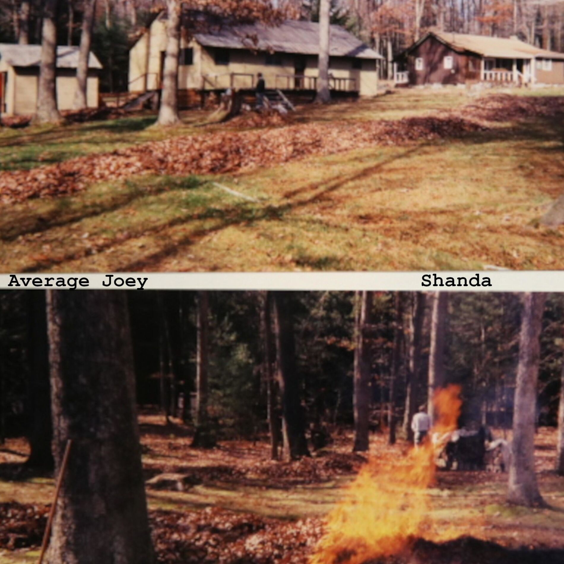 Album cover of Shanda